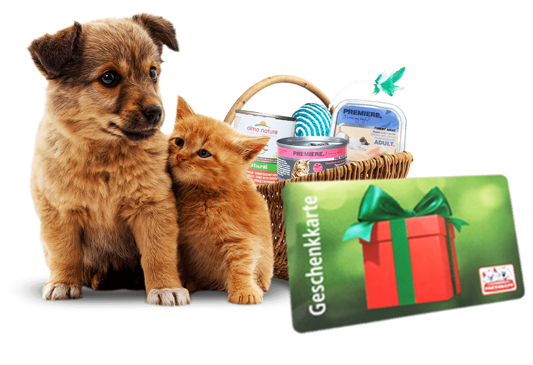 Dieses Bild zeigt einen Preis